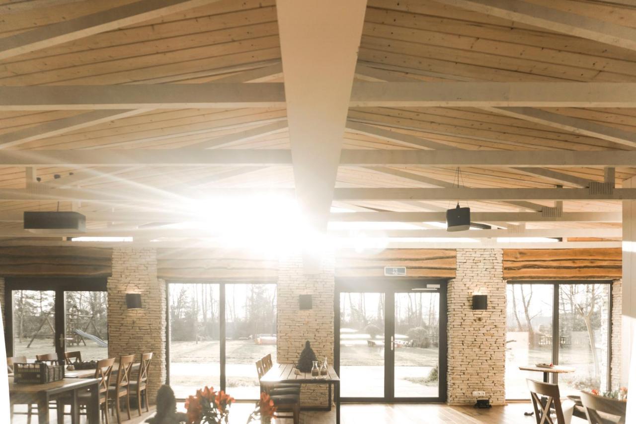 Hotel Borowina Konstancin-Jeziorna Extérieur photo